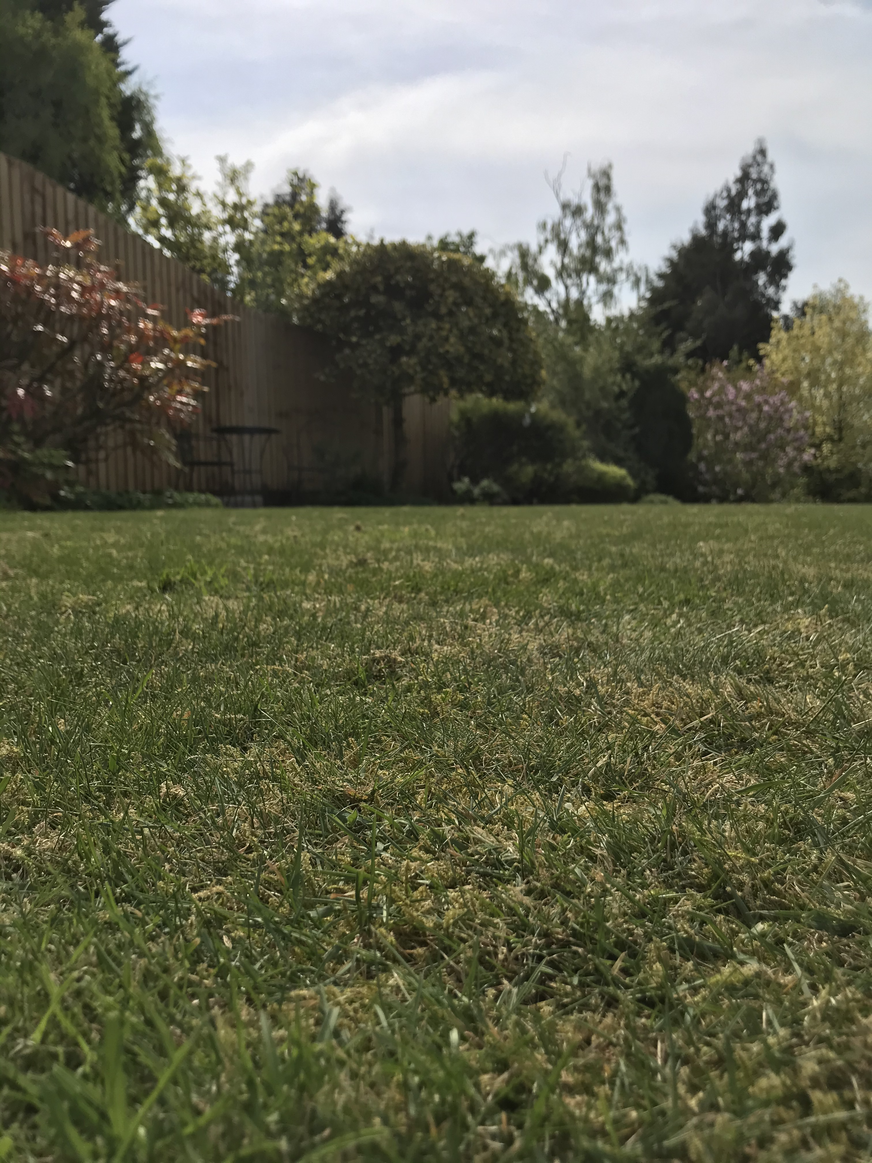 Garden project